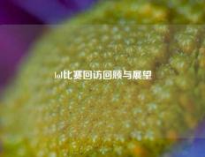 lol比赛回访回顾与展望