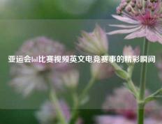 亚运会lol比赛视频英文电竞赛事的精彩瞬间