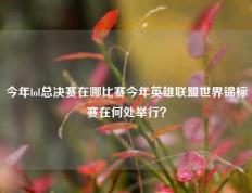 今年lol总决赛在哪比赛今年英雄联盟世界锦标赛在何处举行？