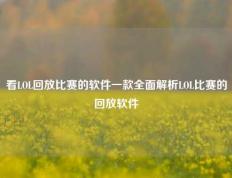 看LOL回放比赛的软件一款全面解析LOL比赛的回放软件