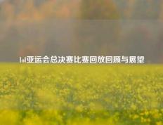 lol亚运会总决赛比赛回放回顾与展望