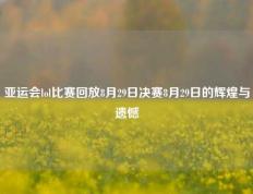 亚运会lol比赛回放8月29日决赛8月29日的辉煌与遗憾