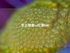 怎么观看lol比赛LOL