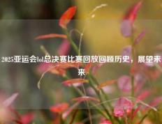 2025亚运会lol总决赛比赛回放回顾历史，展望未来