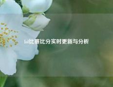 lol比赛比分实时更新与分析
