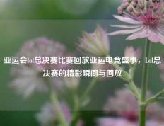 亚运会lol总决赛比赛回放亚运电竞盛事，Lol总决赛的精彩瞬间与回放