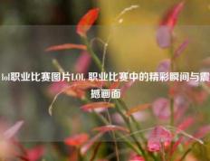 lol职业比赛图片LOL 职业比赛中的精彩瞬间与震撼画面