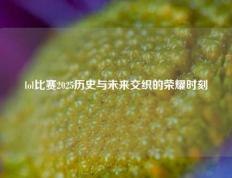lol比赛2025历史与未来交织的荣耀时刻