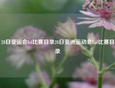 28日亚运会lol比赛目录28日亚洲运动会Lol比赛目录