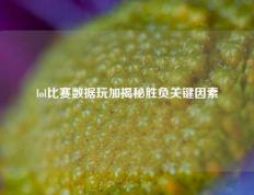 lol比赛数据玩加揭秘胜负关键因素