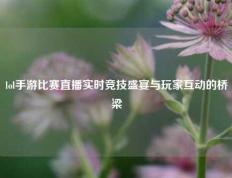 lol手游比赛直播实时竞技盛宴与玩家互动的桥梁