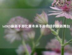 lol2025最新手游比赛未来手游竞技的崭新舞台