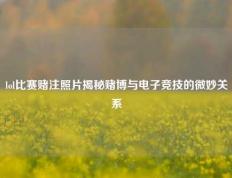lol比赛赌注照片揭秘赌博与电子竞技的微妙关系