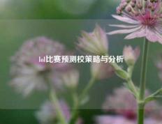 lol比赛预测校策略与分析