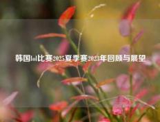 韩国lol比赛2025夏季赛2023年回顾与展望