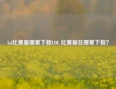 lol比赛服哪里下载LOL 比赛服在哪里下载？