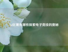 lol比赛有哪些探索电子竞技的奥秘