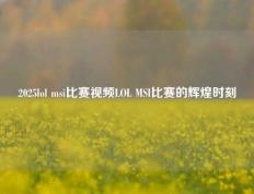 2025lol msi比赛视频LOL MSI比赛的辉煌时刻