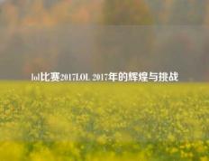 lol比赛2017LOL 2017年的辉煌与挑战