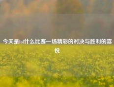 今天是lol什么比赛一场精彩的对决与胜利的喜悦