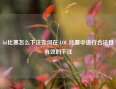 lol比赛怎么下注如何在 LOL 比赛中进行合法且有效的下注