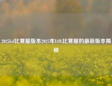 2025lol比赛服版本2025年LOL比赛服的最新版本揭秘