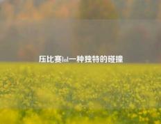 压比赛lol一种独特的碰撞