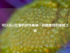 可以压lol比赛的软件揭秘一款颠覆性的策略工具