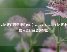 lol比赛在哪里押注LOL（League of Legends）比赛中如何进行合法的押注