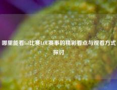 哪里能看lol比赛LOL赛事的精彩看点与观看方式探讨