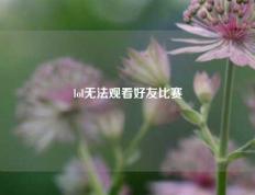 lol无法观看好友比赛