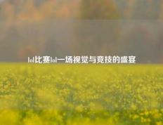lol比赛lol一场视觉与竞技的盛宴