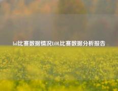 lol比赛数据情况LOL比赛数据分析报告