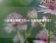 lol比赛去哪里下注LOL 比赛去哪里下注？