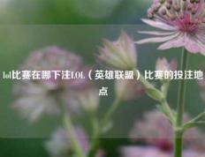 lol比赛在哪下注LOL（英雄联盟）比赛的投注地点