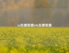 lol在哪竞猜LOL在哪竞猜