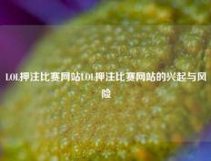 LOL押注比赛网站LOL押注比赛网站的兴起与风险