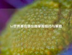 lol世界赛竞猜在哪掌握技巧与策略