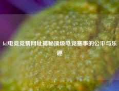 lol电竞竞猜网址揭秘顶级电竞赛事的公平与乐趣