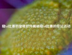 赌lol比赛的是啥软件揭秘赌lol比赛的非法活动