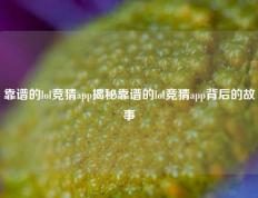 靠谱的lol竞猜app揭秘靠谱的lol竞猜app背后的故事