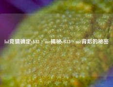 lol竞猜确定yb33丶me揭秘yB33丶me背后的秘密