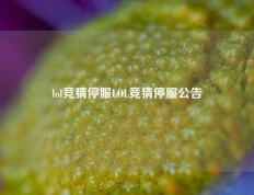 lol竞猜停服LOL竞猜停服公告