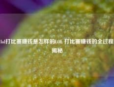 lol打比赛赚钱是怎样的LOL 打比赛赚钱的全过程揭秘