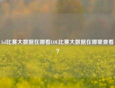 lol比赛大数据在哪看LOL比赛大数据在哪里查看？