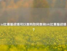 lol比赛服战绩可以查吗如何查询LOL比赛服战绩？