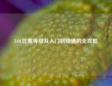 LOL比赛等级从入门到精通的全攻略
