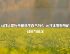 lol打比赛账号是选手自己的么LOL打比赛账号的归属与管理
