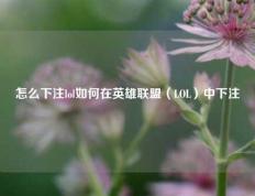 怎么下注lol如何在英雄联盟（LOL）中下注
