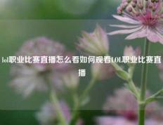 lol职业比赛直播怎么看如何观看LOL职业比赛直播